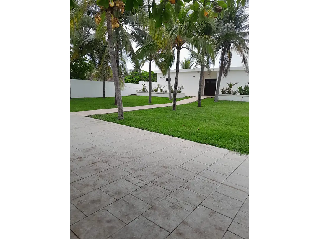 Viva-Vacaciones-Source-01-05