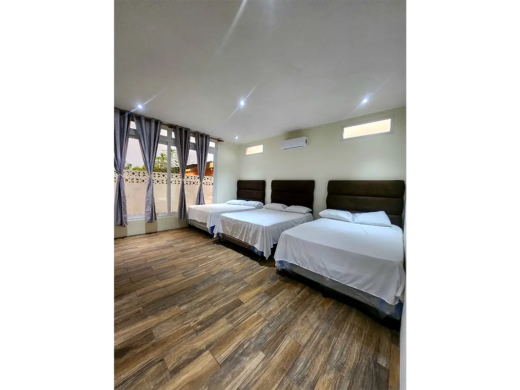 Viva-Vacaciones-Source-01-11